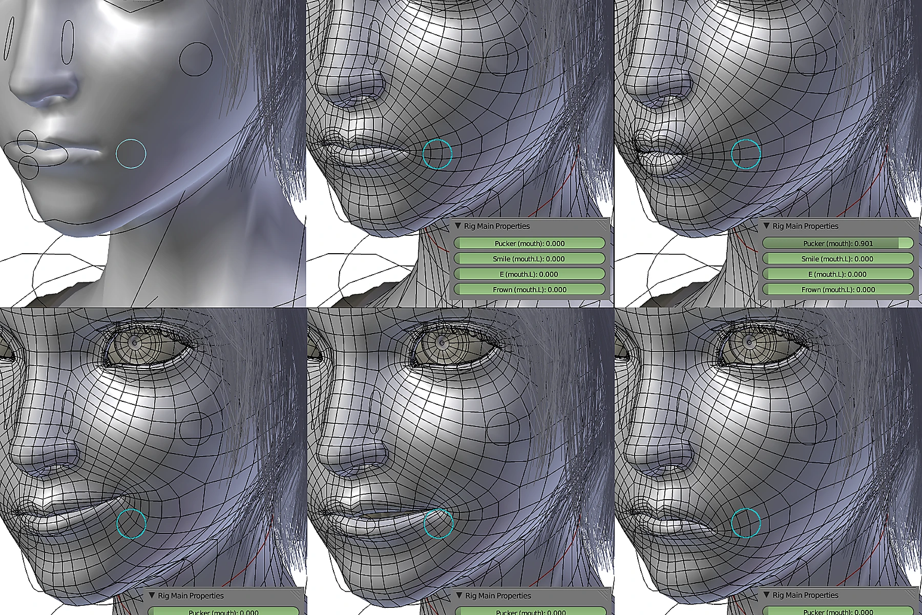 Facial rig and wireframe development view